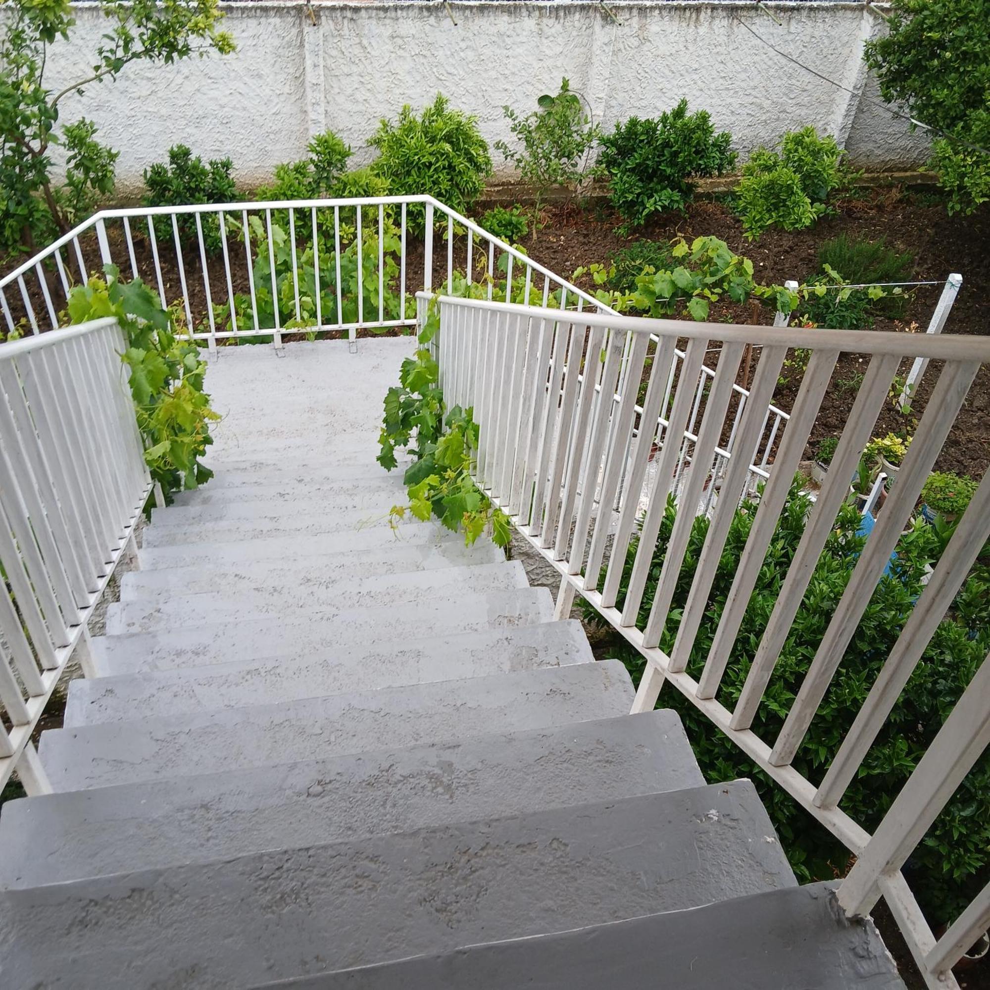 Villa Oasis Berat Exterior foto